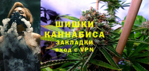 соль ск Алзамай