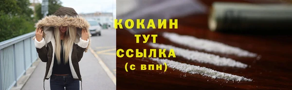 соль ск Алзамай