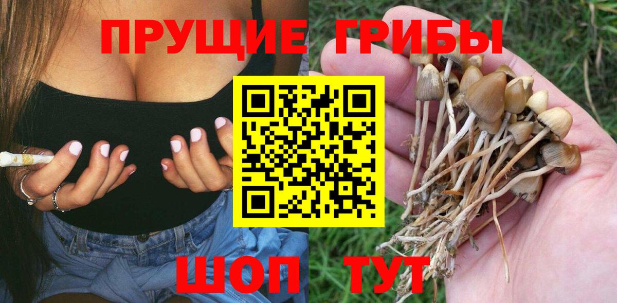 Галлюциногенные грибы ЛСД Нижний Новгород