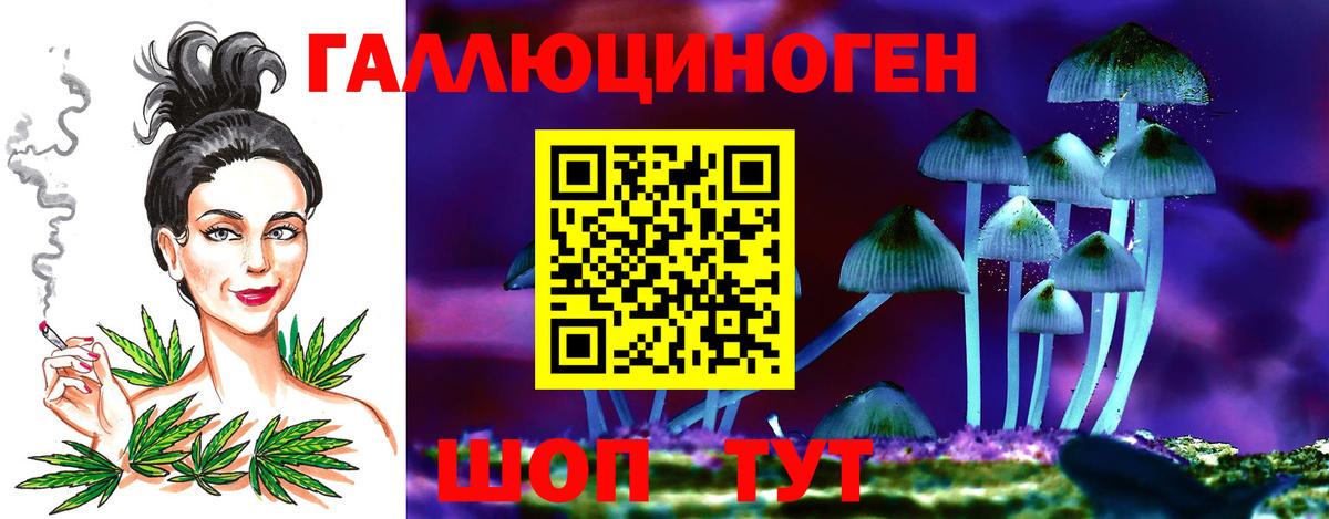 купить наркоту  Галлюциногенные грибы Psilocybine cubensis  Вход с VPN  Нижний Новгород 